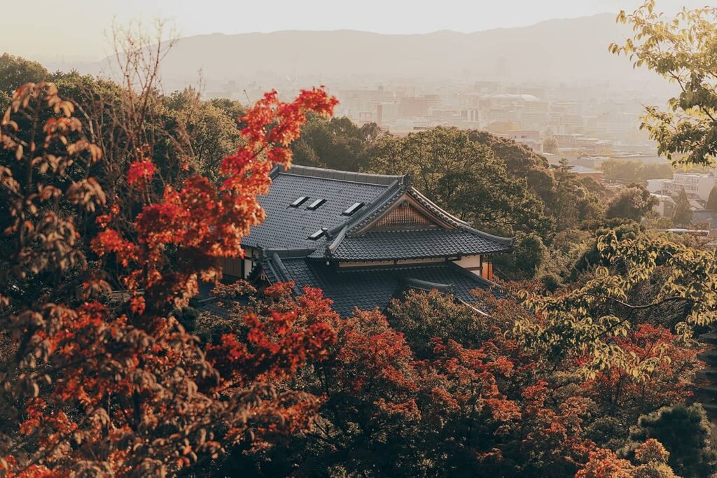 Automne | traditionnel | japon | photo | orange | rouge | manoir